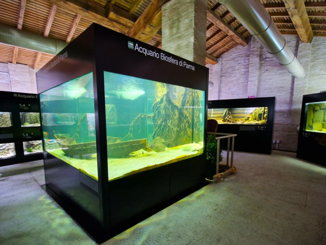 Online la pagina dedicata al Centro di cultura ambientale-Acquario biosfera di Parma