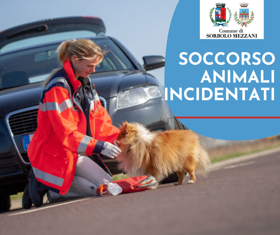 SOCCORSO ANIMALI INCIDENTATI