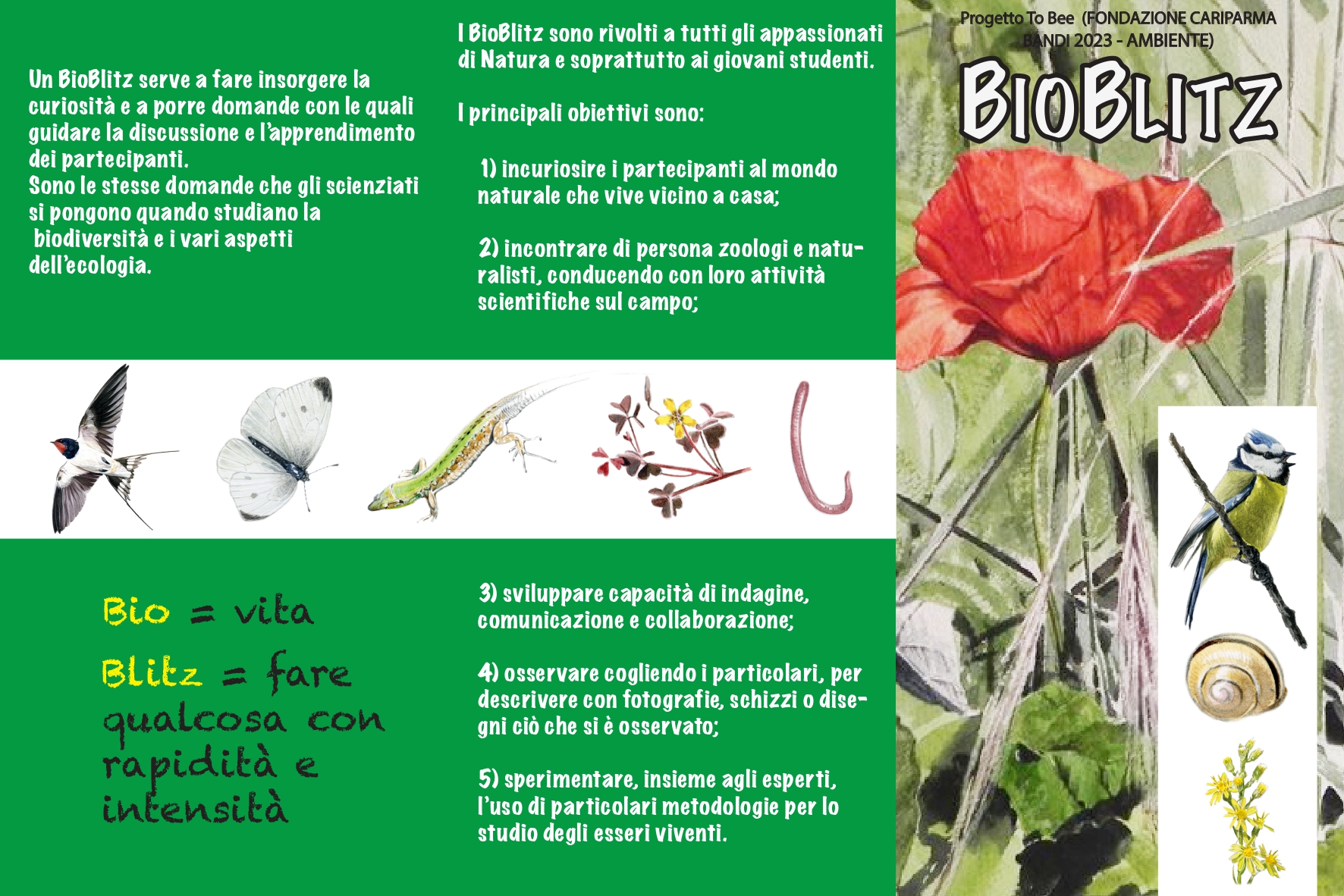 RINATURA-PROGETTO TO BEE: BIOBLITZ PRESSO AREA VERDE DI VIA GUARINI, SABATO 22 GIUGNO ORE 16